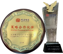 Strategic partnership and award for Best Service by Pengding  